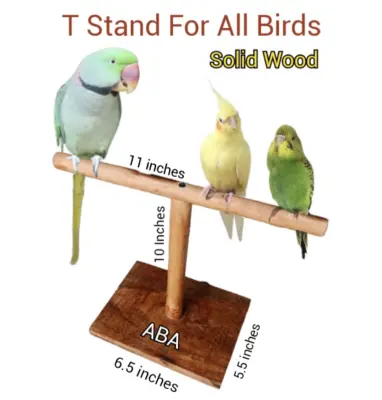 Stand For Parrots