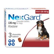 NexGard® for Dogs