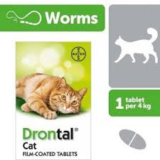 CAT DEWORMING TABLET