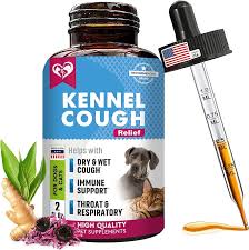 Dog & Cat Medicine